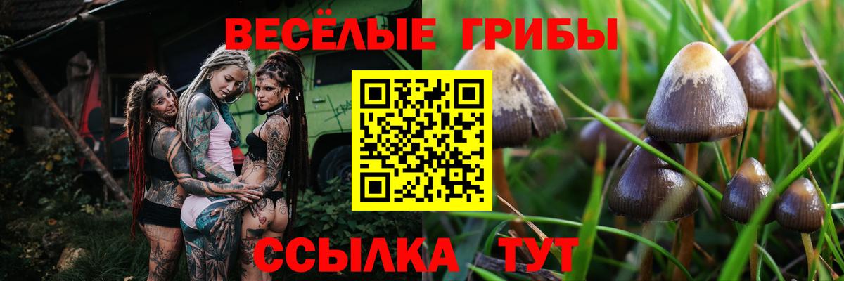 Псилоцибиновые грибы Magic Shrooms Сызрань