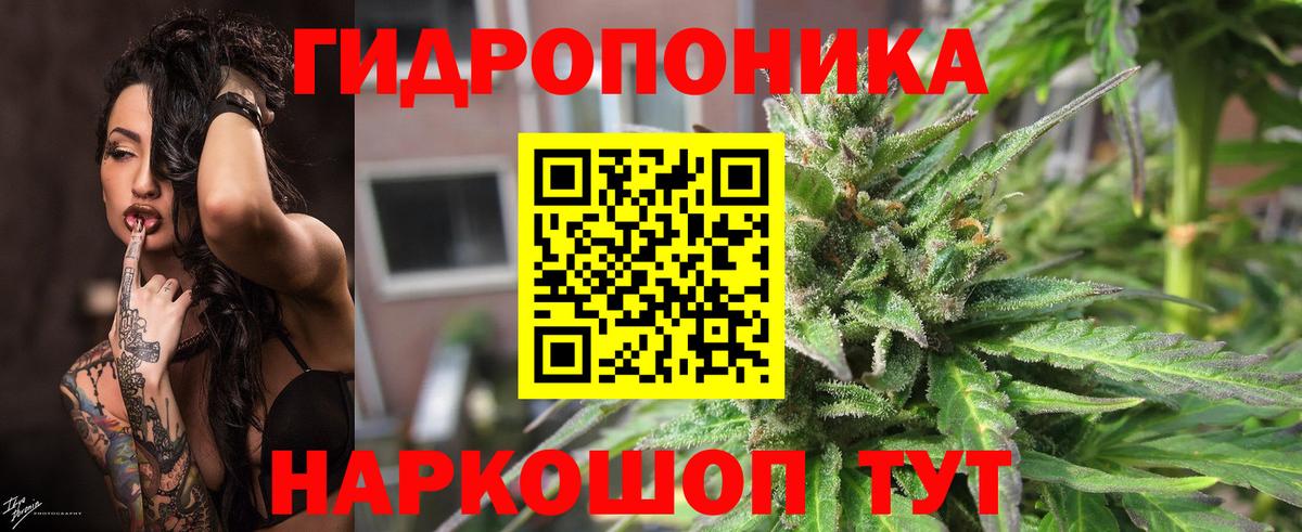 Марихуана конопля  Каннабис тримм  Каннабис конопля  Сызрань  Вход с VPN 